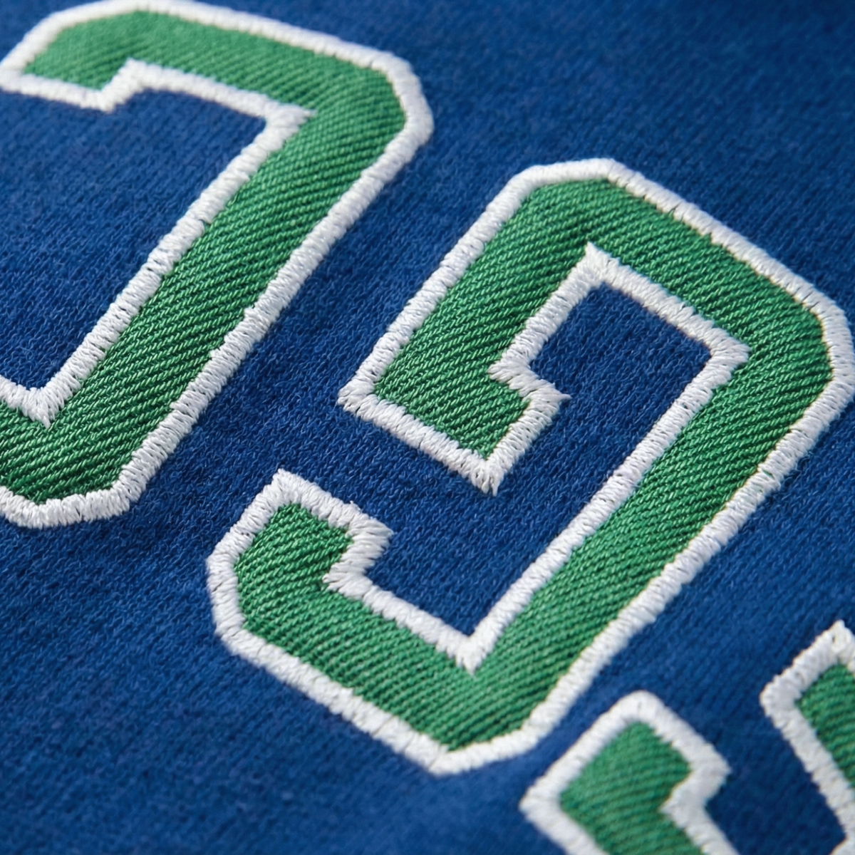 FGCU Eagles Varsity Hoodie